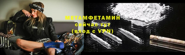 прущие грибы Новодвинск