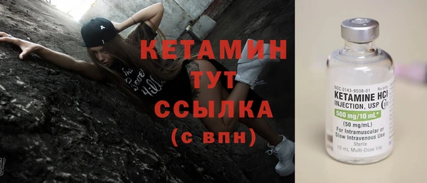прущие грибы Новодвинск