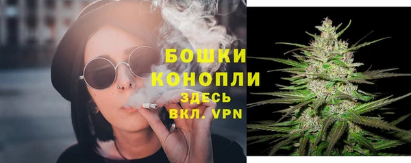 прущие грибы Новодвинск