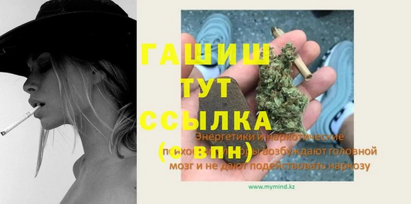прущие грибы Новодвинск