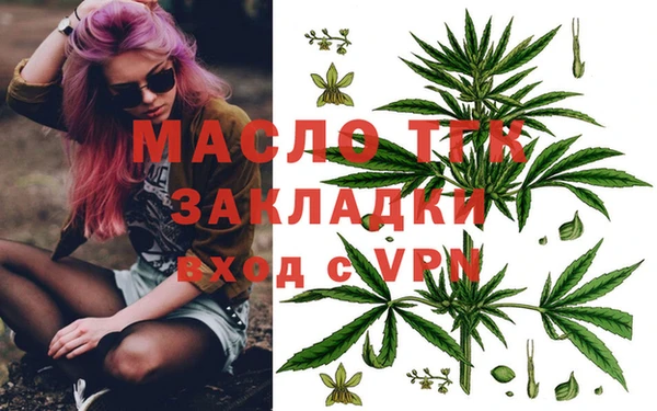 прущие грибы Новодвинск