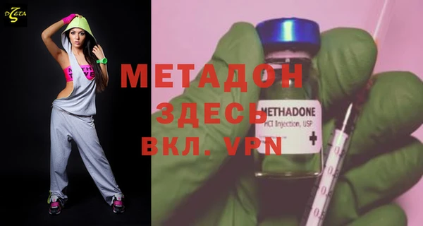 прущие грибы Новодвинск