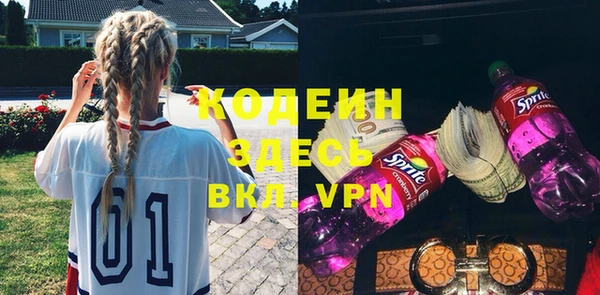 прущие грибы Новодвинск