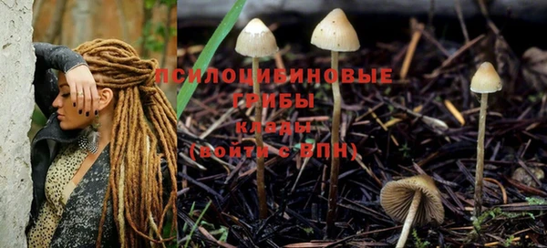 наркотики Яровое