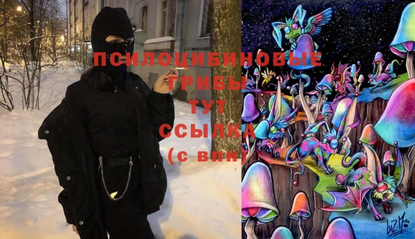 первитин Новозыбков