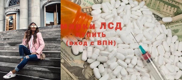 прущие грибы Новодвинск