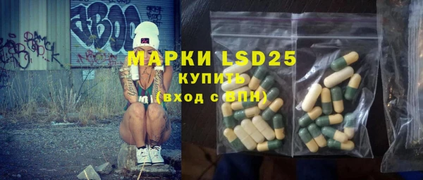 прущие грибы Новодвинск