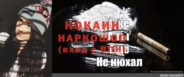 прущие грибы Новодвинск