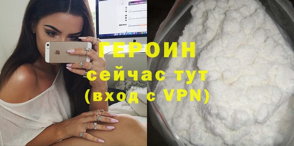 прущие грибы Новодвинск