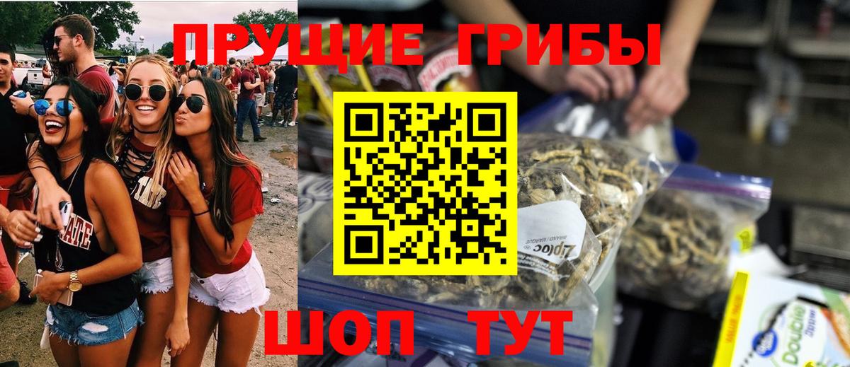 Псилоцибиновые грибы Psilocybine cubensis Губаха