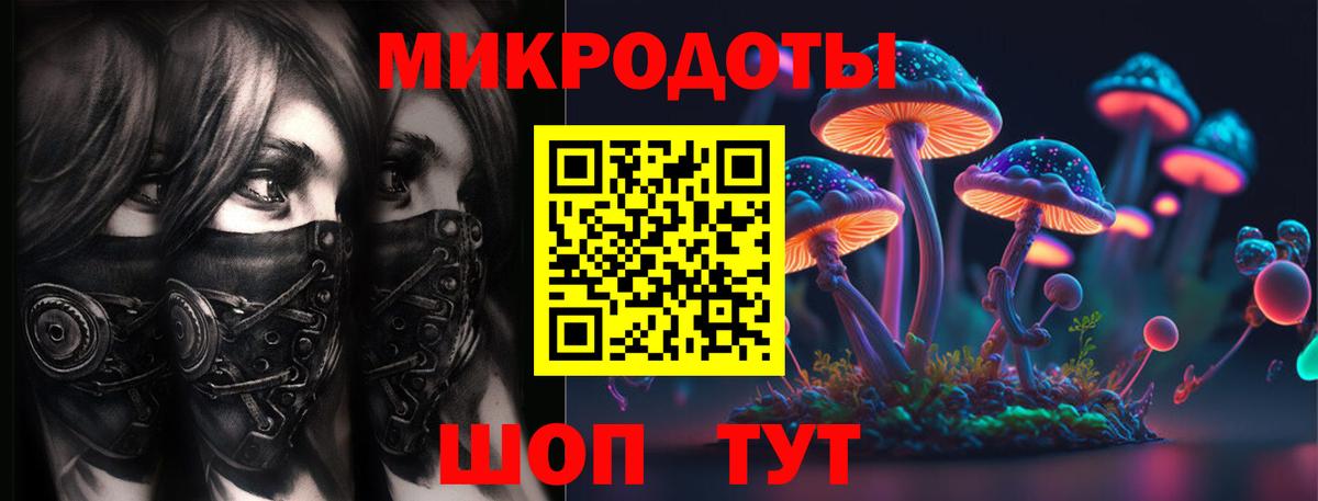 Губаха  Псилоцибиновые грибы Psilocybe  Вход с VPN 