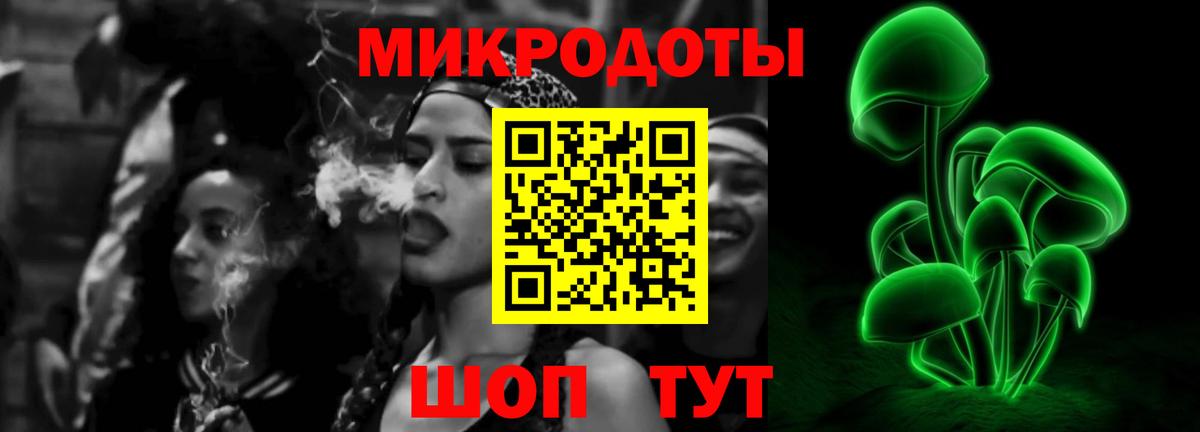 Псилоцибиновые грибы мицелий  Губаха 