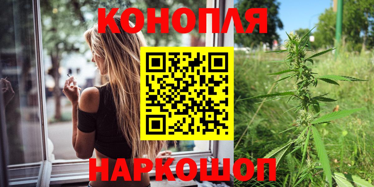Конопля конопля Губаха
